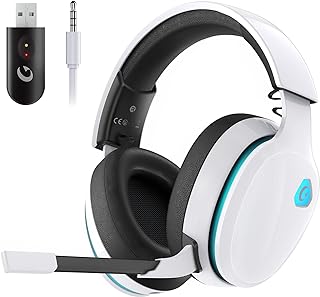 Gaming Accessories